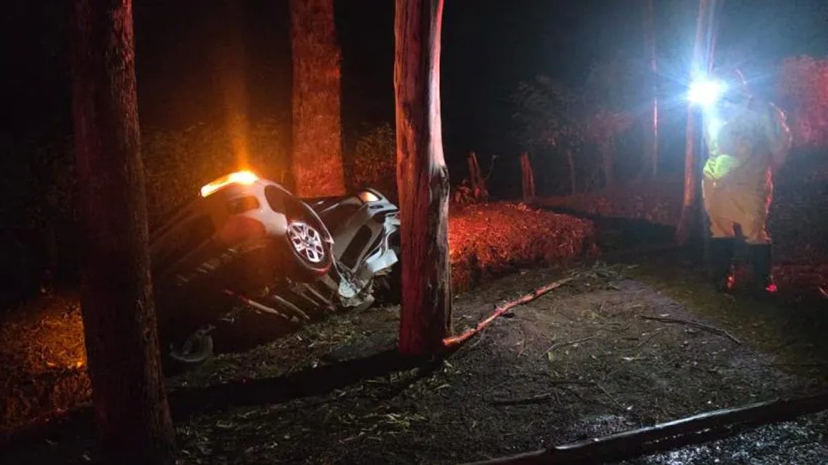 Saída de pista na MGC-369 deixa um morto e dois feridos perto de Campos Gerais