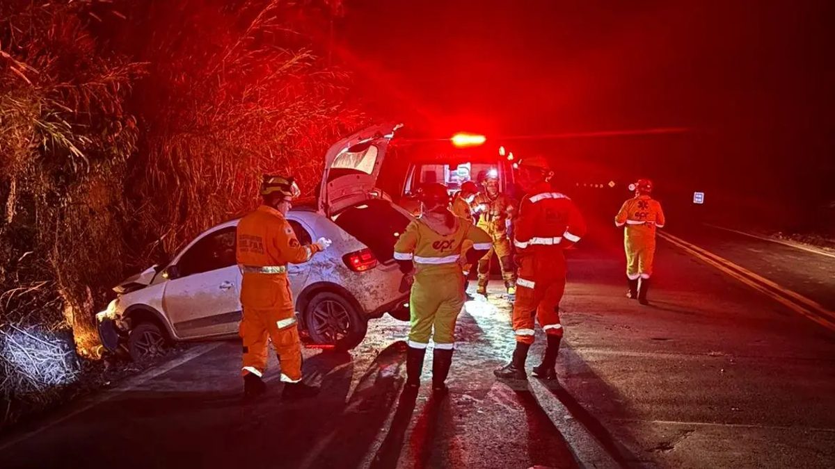 Motorista se fere ao desviar de animal entre Muzambinho e Juruaia