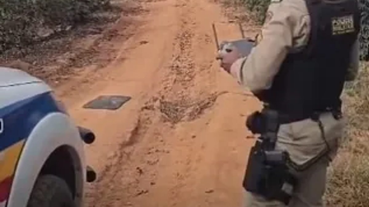 Drone amplia patrulhamento das lavouras durante a colheita do café em Cabo Verde