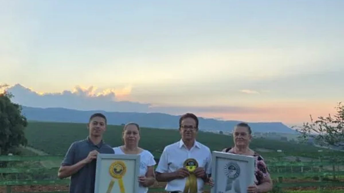Queijos de São Roque de Minas conquistam sete medalhas em competição mundial
